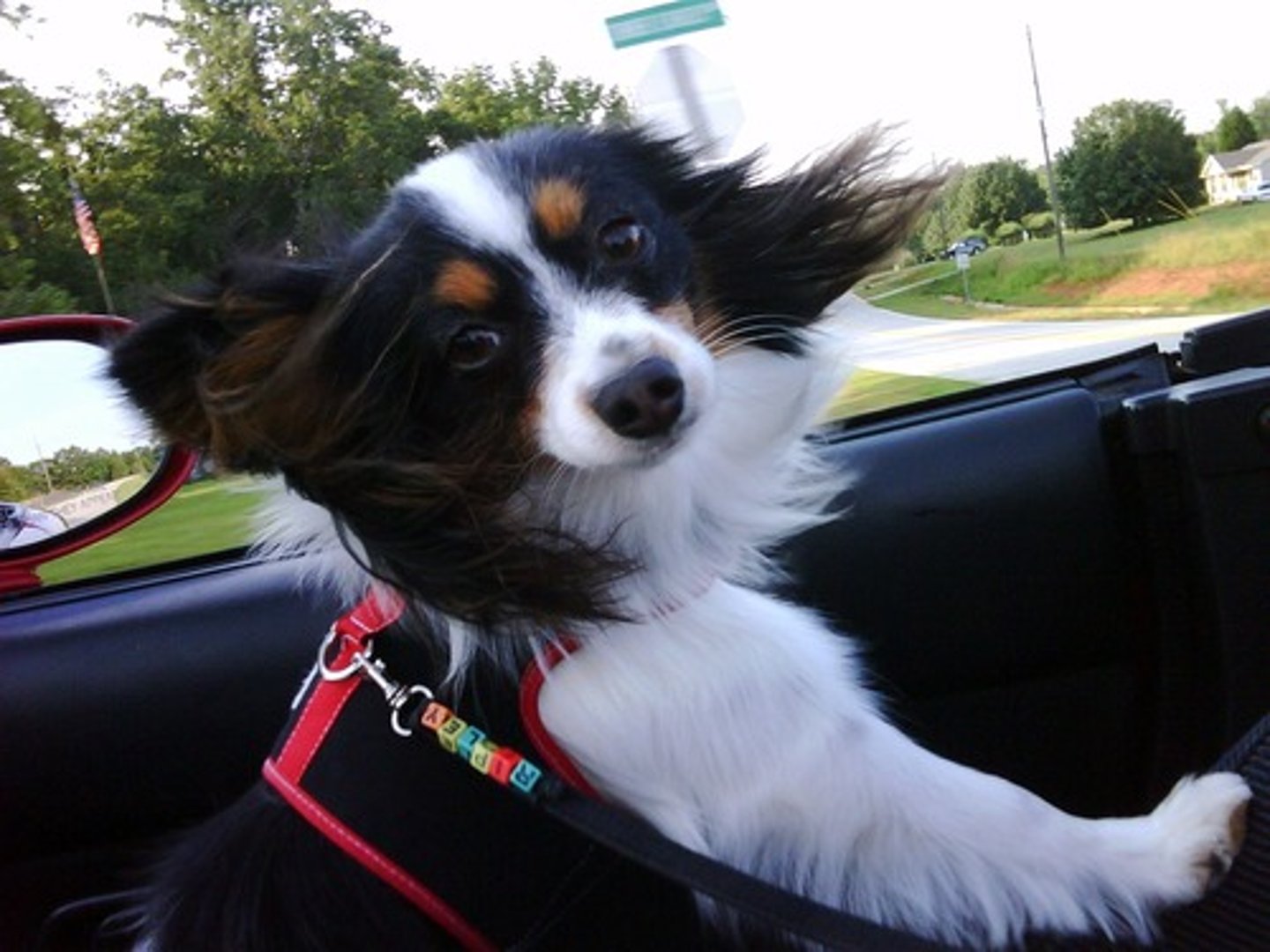 <p>to go for a ride</p>