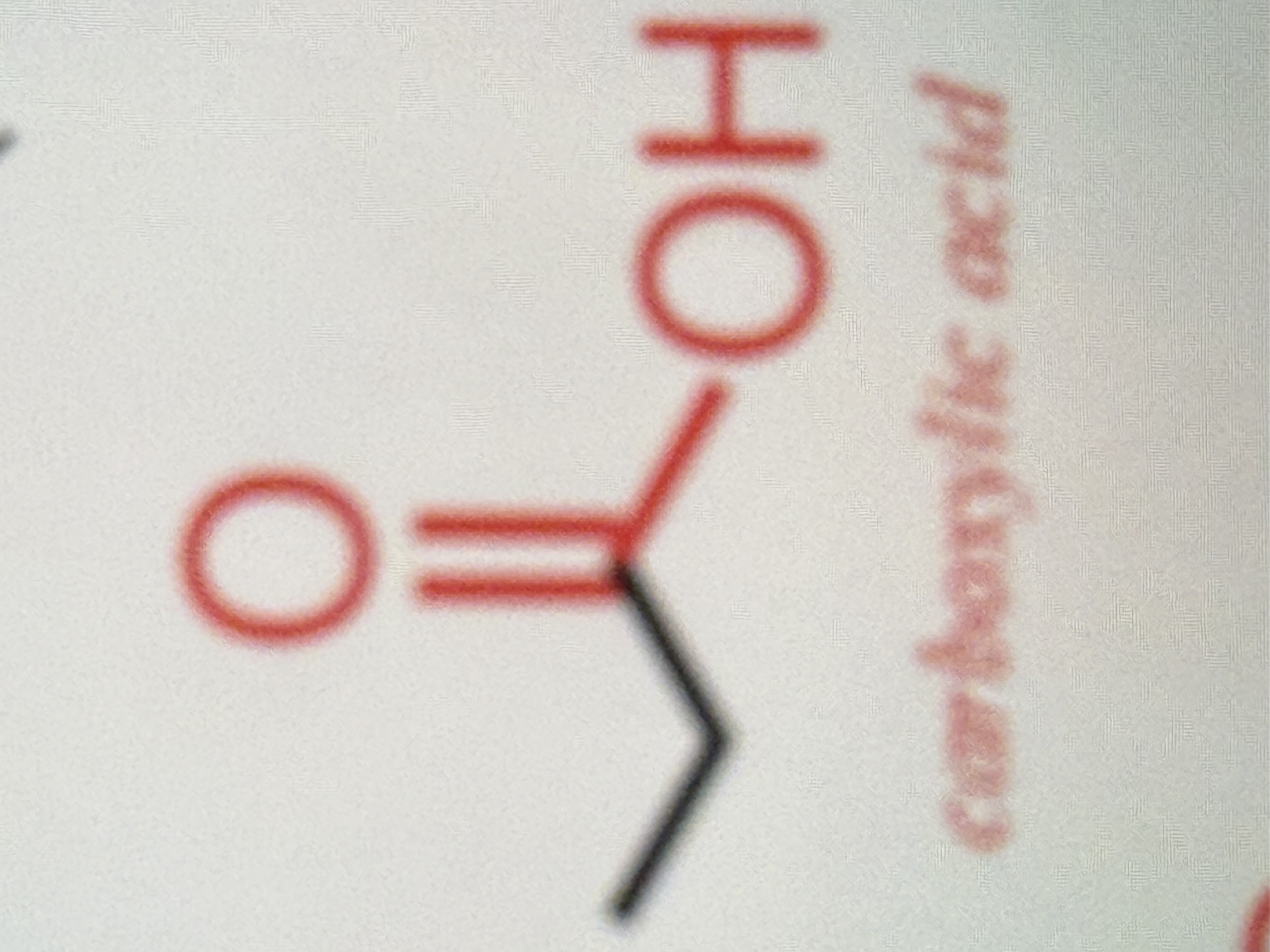 <p>Love this one</p>