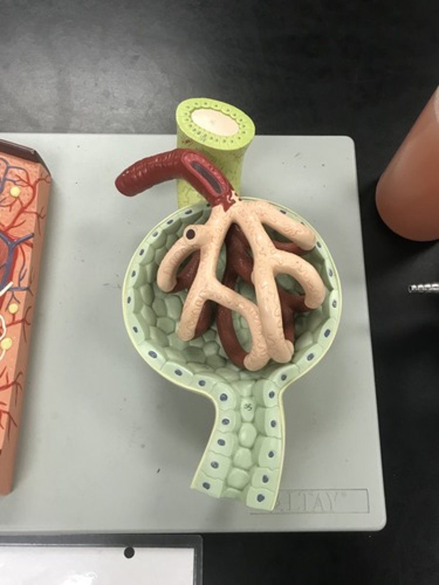 <p>What is this?</p>