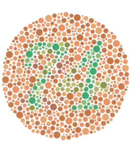 <p>If we lack one cone receptor type, we cannot process as many colors as we could with all three (e.g. dichromacy, red-green color deficiency). </p>