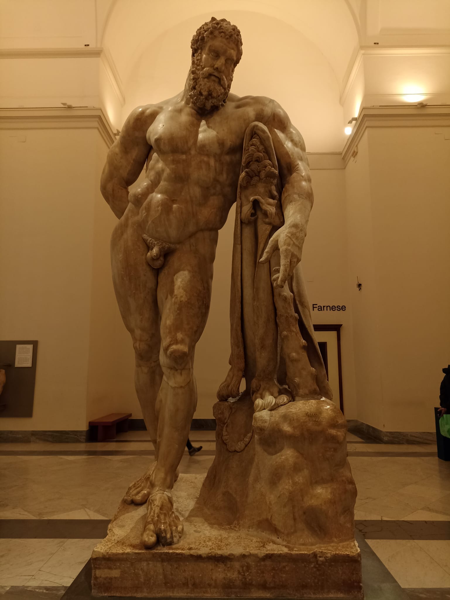term image