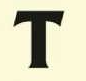 term image