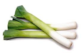 white bases that gradually switch into a yellow-green color, which then switches to a green-deep green color. They form a round shape but are narrow and long, with the ends having thin, un-dimensional leaves/pieces.