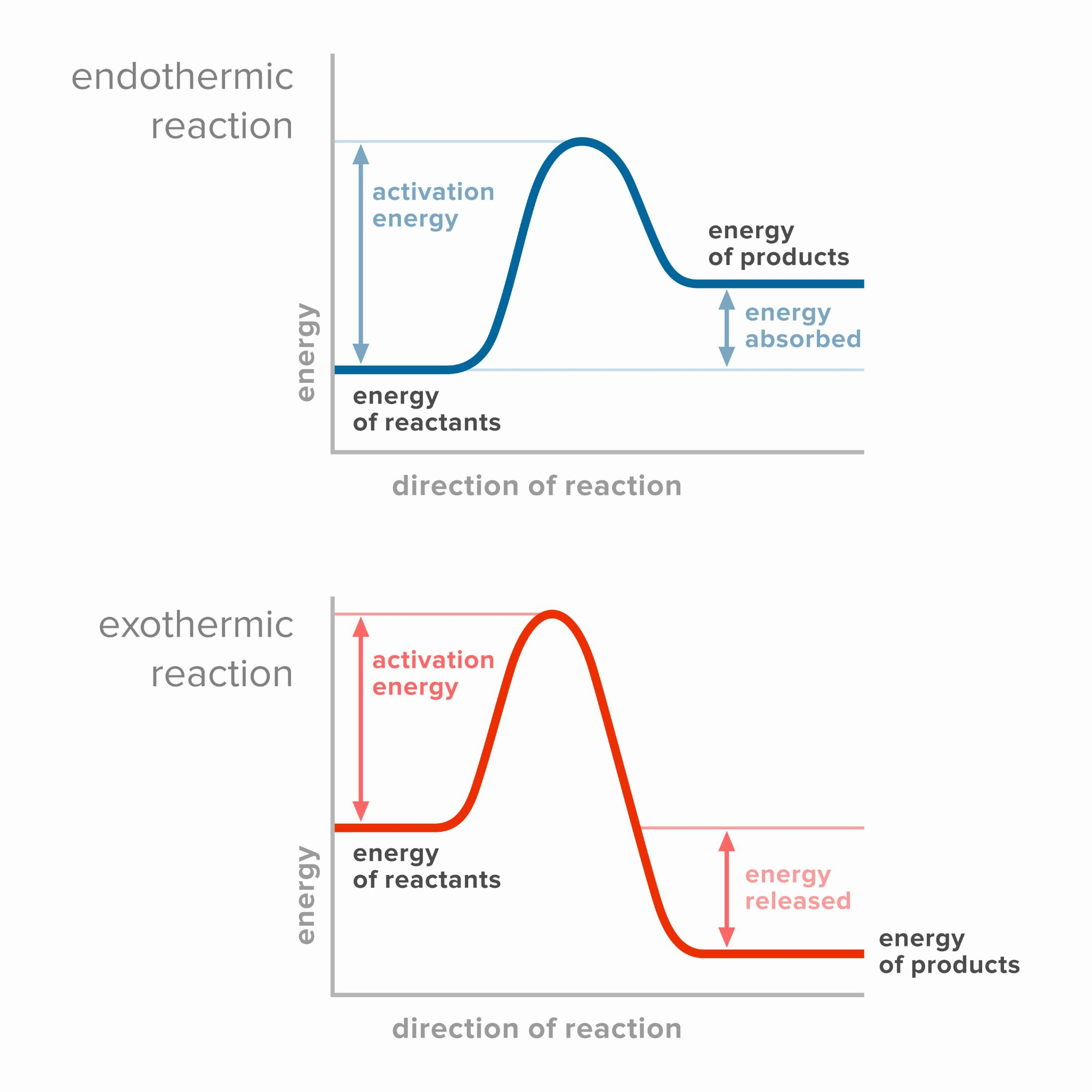 <p><strong>The relative stability of reactants and products determines whether reactions are endothermic or exothermic.</strong></p><p>For graph: Axes for energy profiles should be labeled as reaction coordinate (x), potential energy (y).</p><p>The endothermic combustion of N2 is due to the high energy required to break the strong triple bond between nitrogen atoms, leading to heat absorption in the process.</p>