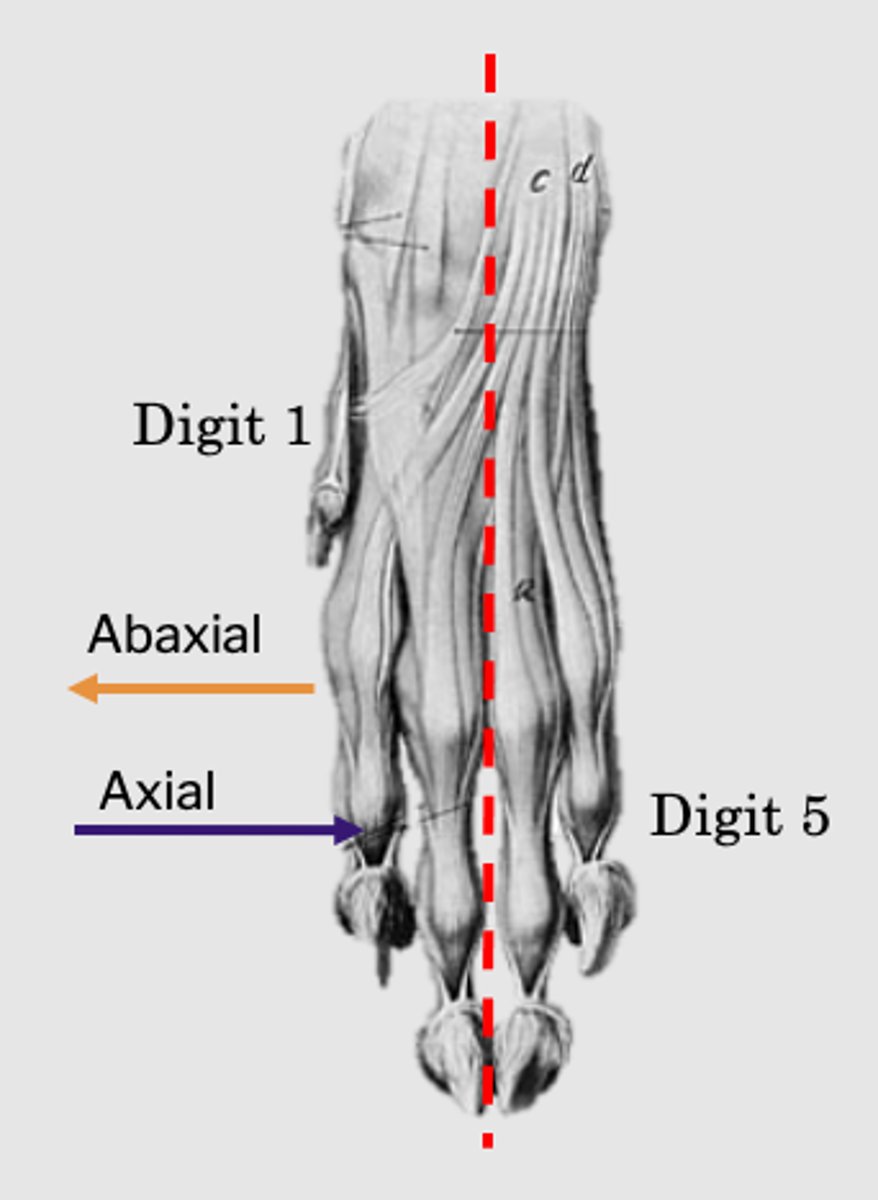 <p>Away from axis.</p>