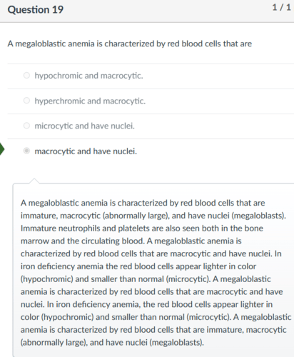 <p>macrocytic and have nuclei.</p><p>A megaloblastic anemia is characterized by red blood cells that are immature, macrocytic (abnormally large), and have nuclei (megaloblasts). Immature neutrophils and platelets are also seen both in the bone marrow and the circulating blood. A megaloblastic anemia is characterized by red blood cells that are macrocytic and have nuclei. In iron deficiency anemia the red blood cells appear lighter in color (hypochromic) and smaller than normal (microcytic). A megaloblastic anemia is characterized by red blood cells that are macrocytic and have nuclei. In iron deficiency anemia, the red blood cells appear lighter in color (hypochromic) and smaller than normal (microcytic). A megaloblastic anemia is characterized by red blood cells that are immature, macrocytic (abnormally large), and have nuclei (megaloblasts).</p>