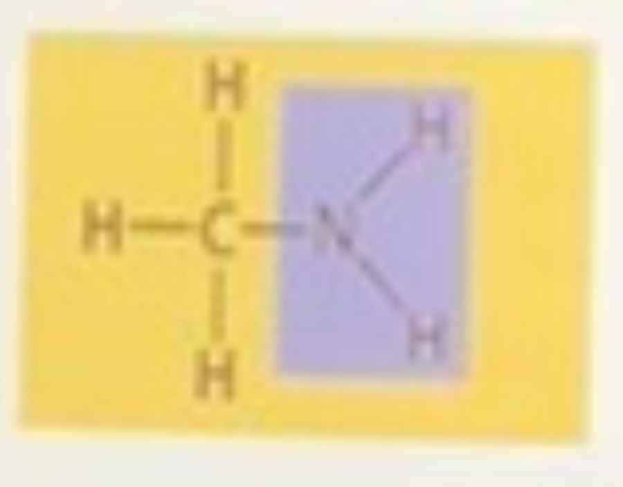 <p>what functional group is shown </p>