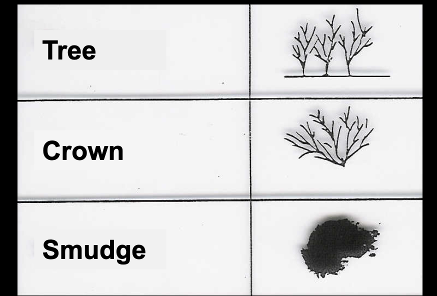 <p>Three types of static electricity artifact <em>(Note: this is basically when a radiographer with static electricity touches the film, like when you touch someone and shock them) (Quiz Question)</em></p>