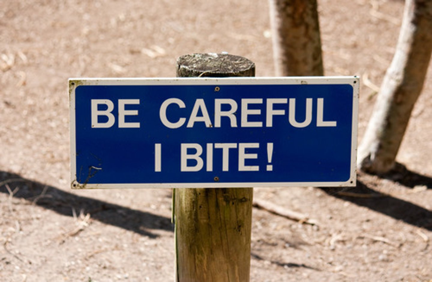 <p>(adj.) extremely cautious, hesitant, or slow (to); reserved, diffident</p><p>synonyms: wary, skittish</p><p>antonyms: heedless, reckless, incautious</p>