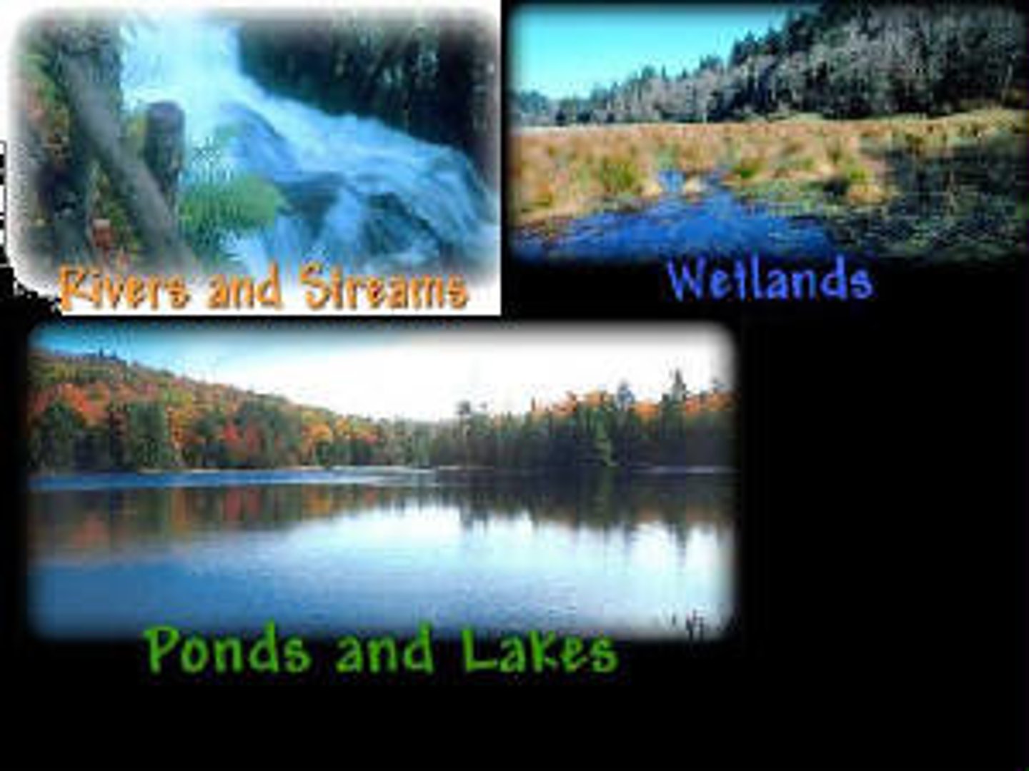 <p>Categorized as streams and rivers, lakes and ponds, or freshwater wetlands</p>