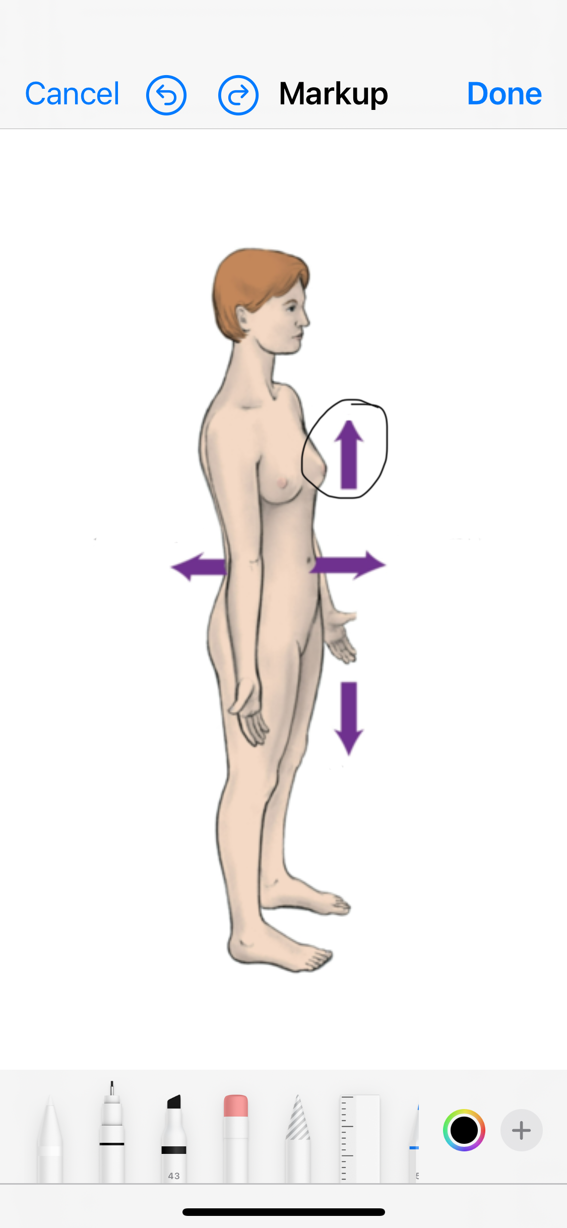 <p>Name the arrow </p>
