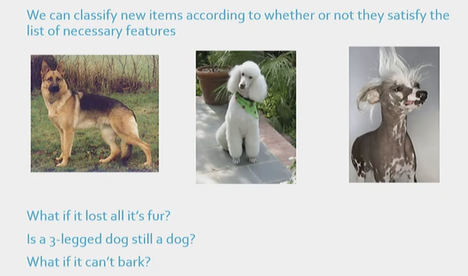<p>Say you are shown a picture of 3 dogs. If you use the necessary features technique to categorise dogs, then a dog must have 4 legs, and be furry. </p><p></p><p>However, what if a dog loses all its hair and has only 3 legs, is it still a dog? Yes!</p><p></p><p>Therefore, for this, and many other cases, it seems like you cannot always come up with a list of defining features for the dog category. </p>
