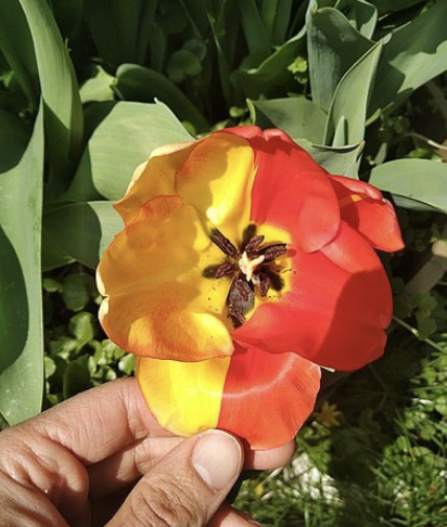 <p>what is this an example of </p>