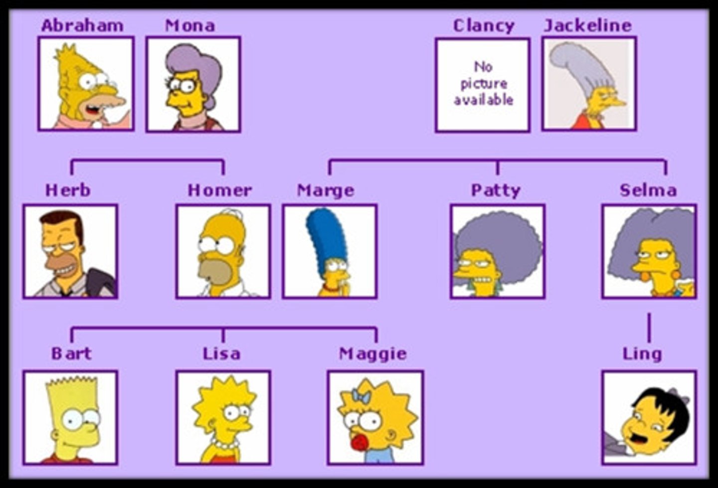 <p>ancestry or family line</p>