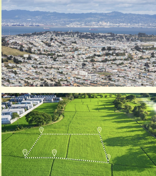 <ul><li><p>Decisions can impact a community’s access to health-promoting resources and environmental health</p></li></ul><p></p>