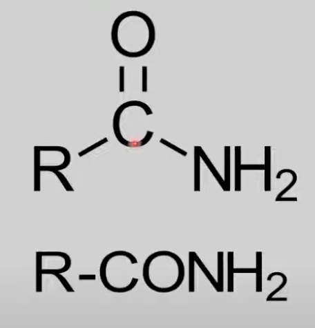 <p>Contain CONH2 group. </p><p>General formula: C<sub>n</sub>H<sub>2n+1</sub>NO. </p><p>Reactions not covered in IB.</p>