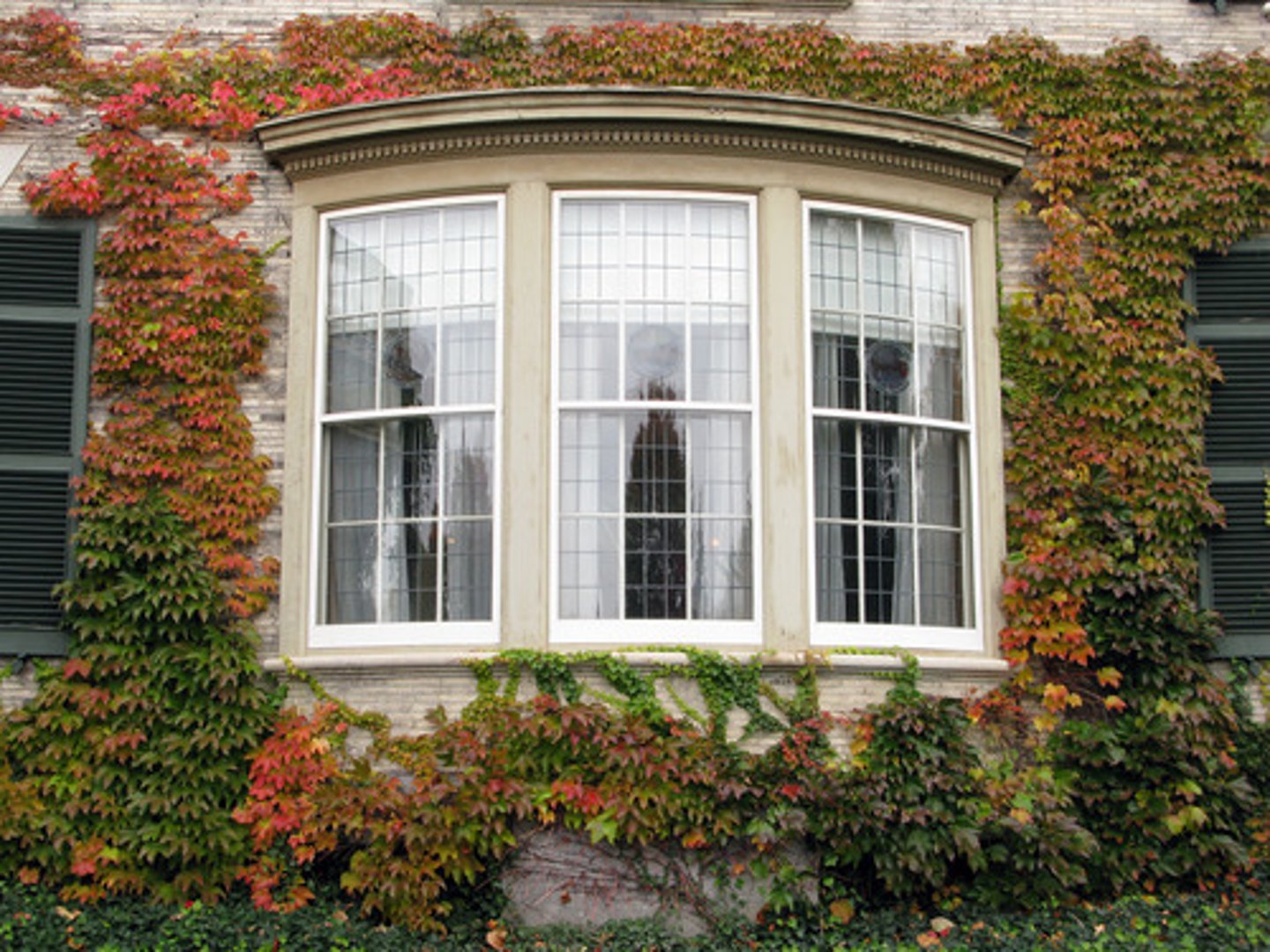 <p>a window that sticks out from the outside wall of a house</p>