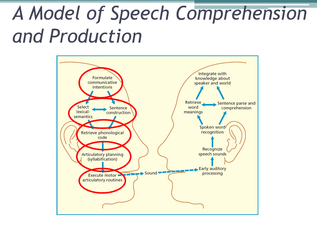 <p> first, formulate the abstract message and then have to SELECT the lexical semantics</p>