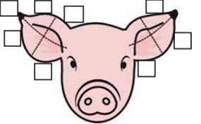 <p>Be able to interpret and apply ear notches.</p>
