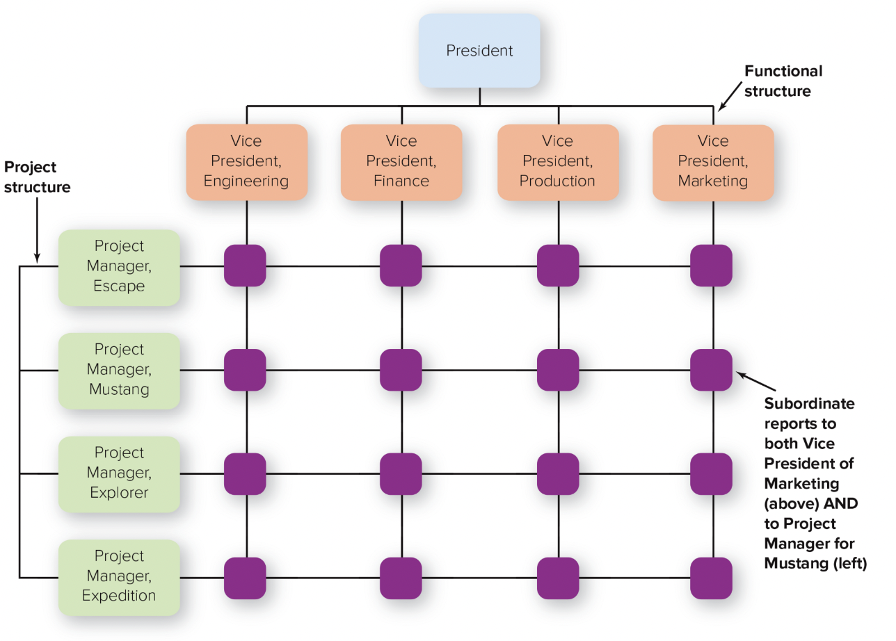 <p>combines functional and divisional chains of command in a grid so that there are two command structures--vertical and horizontal</p>