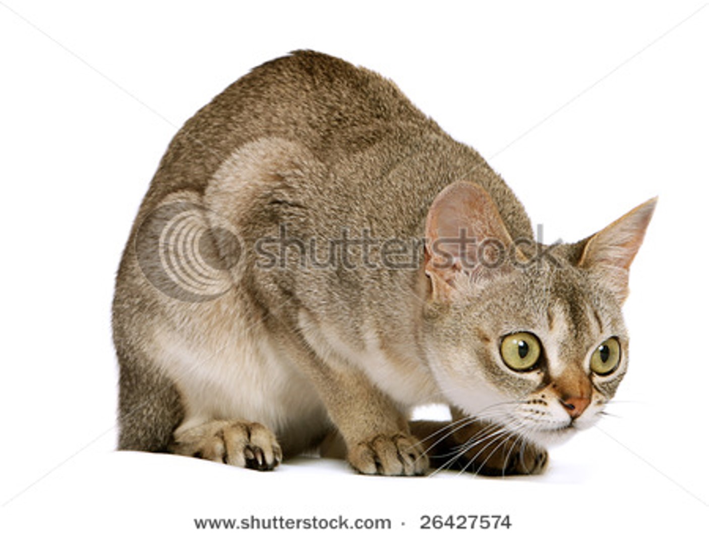 Singapura