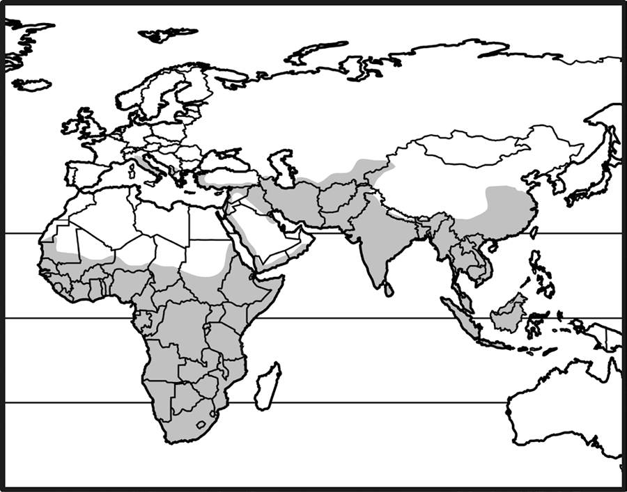 southern europe, sub-saharan africa, southwestern and souther asia, indonesia, philippines