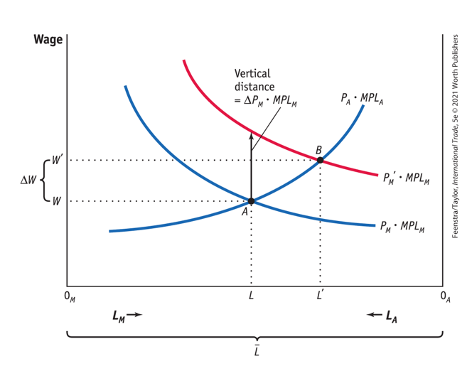 <p>Given an increase of manufactured goods, what happens to wage in both sectors?  - answers flashcard 4 too</p>