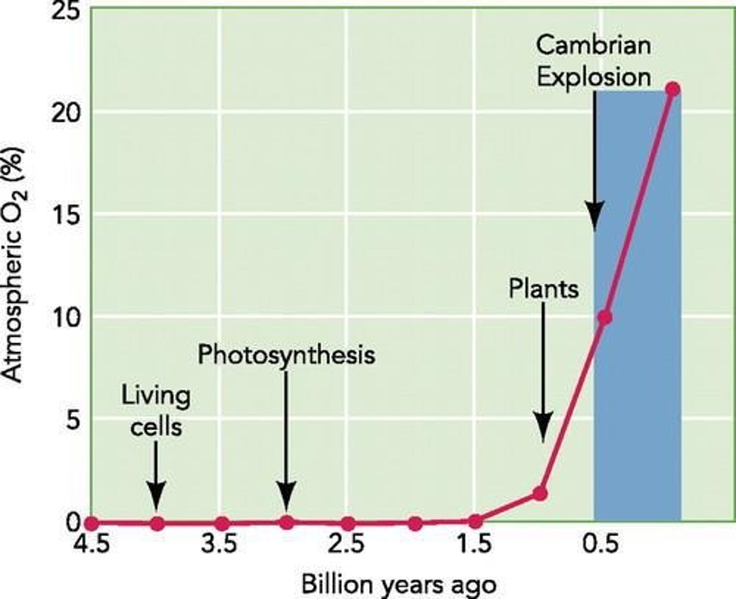 <p>The rise of atmospheric oxygen, which supported larger, more active bodies.</p>