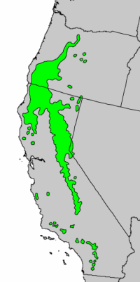 <p>very easily killed by fire, found inland in mountain ranges</p>