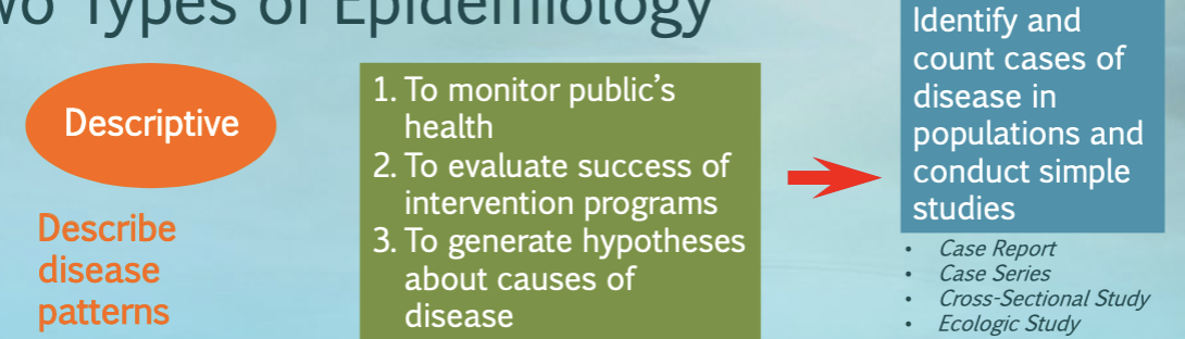 <p>describe disease patterns; identify and count cases of disease in populations and conduct simple studies</p><ul><li><p>monitor public’s health</p></li><li><p>evaluate success of intervention programs</p></li><li><p>generate hypotheses about causes of disease</p></li></ul><p></p>