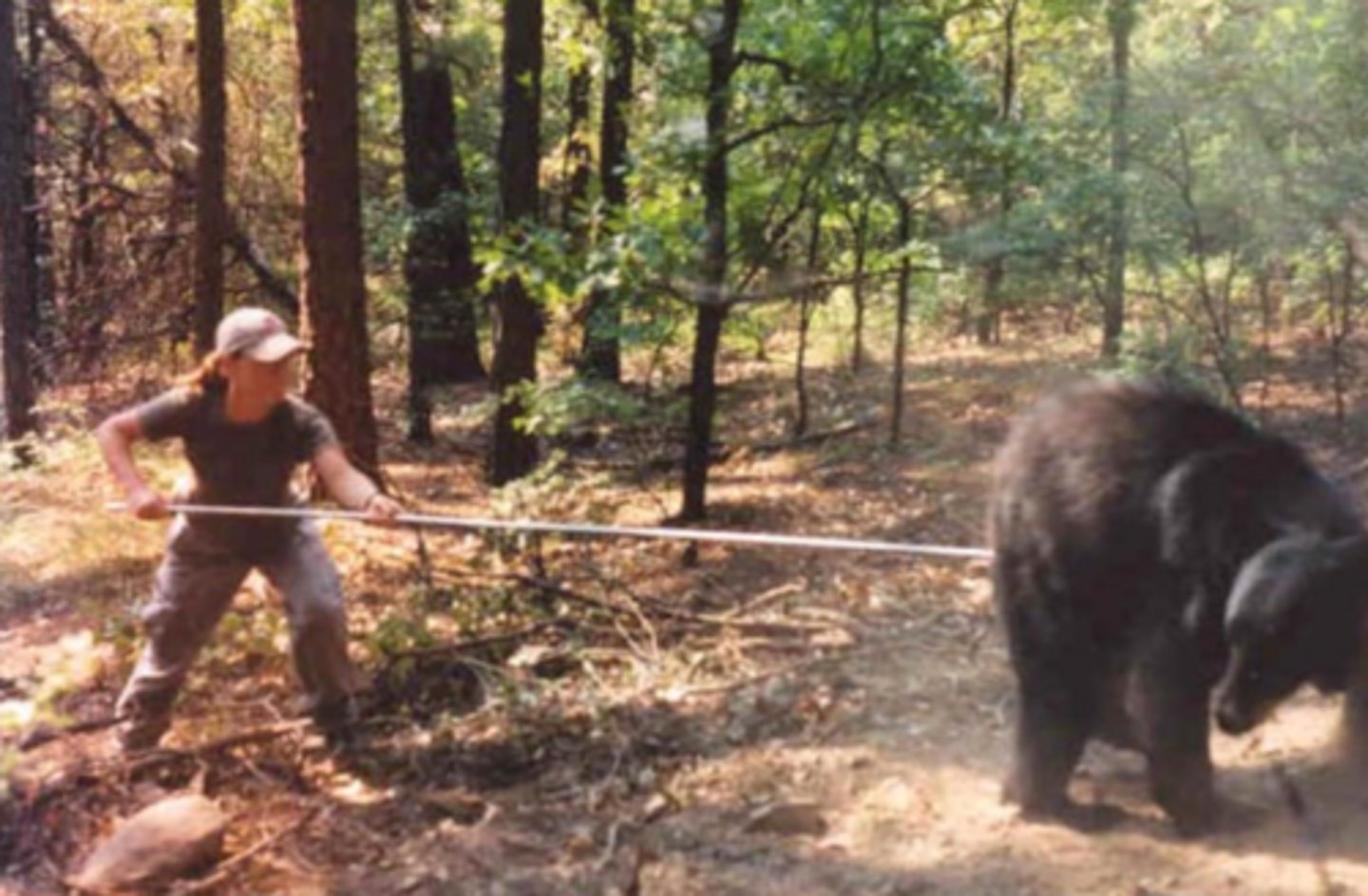 <p>(v) 1. To annoy or make angry. 2. To call forth; to rouse.</p>