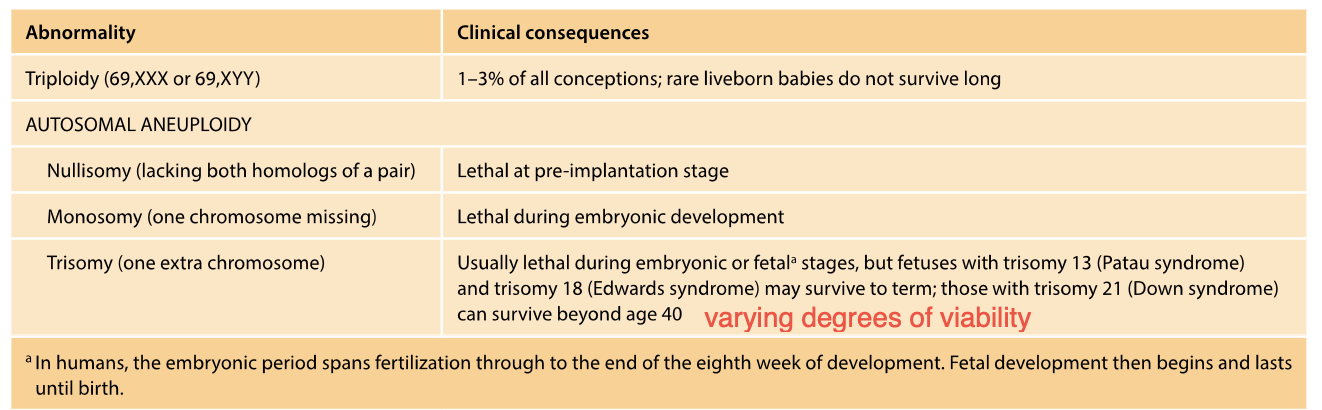 <p>-Usually lethal </p><p>-Multiple <strong>abnormalities present at birth (congenital)</strong> </p><p>-Trisomy - extra chromosome - even though the chromosome is perfectly normal - congenital implications (present at birth)</p><p></p><p>-<strong>Trisomy 13 and 18</strong> - CAN SURVIVE TO TERM -sever malformations - incompatible with long term survival </p><p></p><p>Most autosomal trisomies - NOT COMPATIBLE WITH SURVIVAL</p><p>unless mosaic form (only some cells are affected, while others have the normal amount of chromosomes) - early development stages </p><p></p><p>MONOSOMY</p><p>Autosomal MONOSOMIES - EVEN MORE CONSEQUENCES - Lethal, catastrophic </p><p></p><p></p><p>ANEUPLOIDY - Imbalance of different chromosomes and genes e.g. transcription factors </p><p></p><p>monsomies - MORE PROFOUND EFFECT </p><p>-one missing worse than having 3 </p><p></p><p></p><p>DOWN SYNDROME IS A TRISOMY OF CHROMOSOME 21 </p>