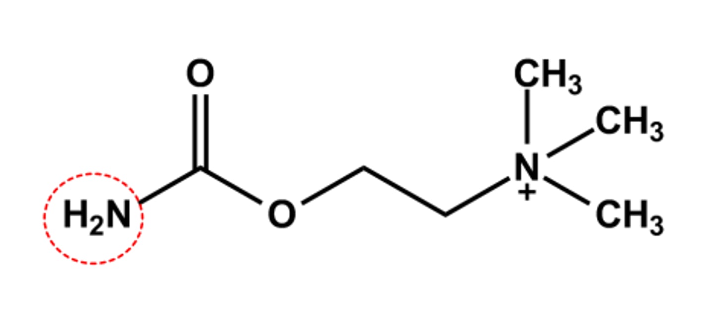 <p>- Carbamate more resistant to AChE catalyzed hydrolysis</p><p>- Duration & stability are sufficient to produce some systemic SLUD effects</p><p>- Use: intraocular miotic drug during cataract surgery</p><p>- LogP = ca. -4.6</p>