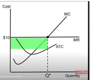 <p>difference between TR & TC is</p>