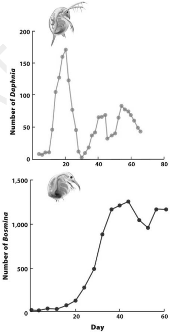 The graphs on the right show population growth curves of two water fleas, Daphnia (top) and Bosmina (bottom). These results show that 

A. Bosmina outcompeted Daphnia 

B. Daphnia overshot its carrying capacity more 

C. Bosmina overshot its carrying capacity more 

D. The carrying capacity of Daphnia was about 175 

E. Bosmina had more time delay in its population growth 
