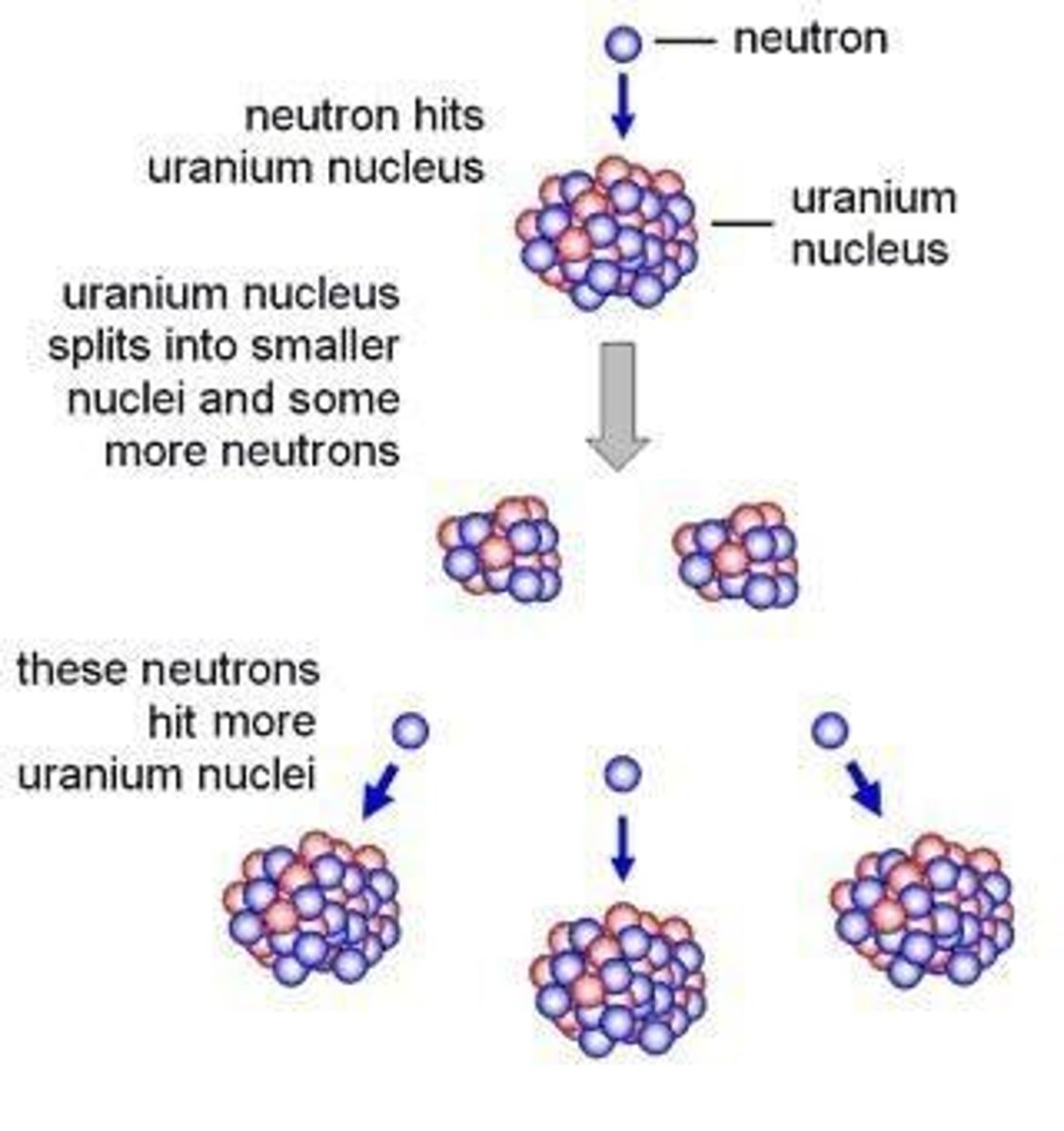 <p>When a large, heavy, unstable nucleus absorbs an extra neutron and splits into two or more smaller nuclei of roughly equal size. Large amounts of energy, gamma rays and neutrons are emitted.</p>