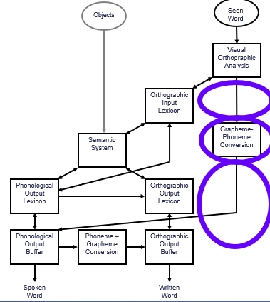 <p>access to the grapheme-phoneme conversion module, the graphene-phoneme conversion module, and output of the grapheme-phoneme conversion module</p>