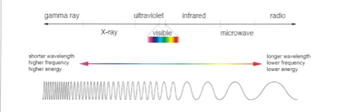 <ul><li><p>They are transverse waves which transfer energy</p></li><li><p>Can be reflected or refracted </p></li><li><p>Can travel through a vacuum at the same high speed </p></li><li><p>The electromagnetic waves in a <strong>vacuum travel at the speed of light - 3 × 10 to the power of 8</strong></p><p></p></li></ul><p></p>