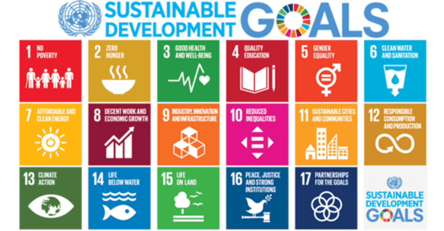 <p>sustainable development</p>