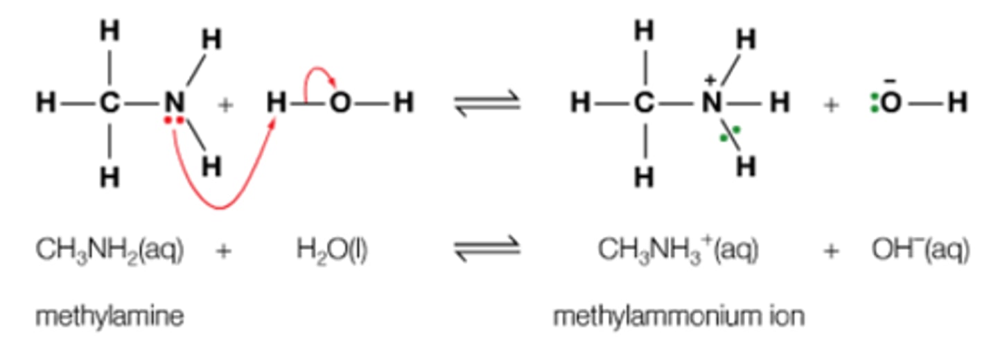<p>form hydrogen bonds with the water</p><p>bigger amines have greater London forces take more energy to overcome and large amines disrupt the hydrogen bonding</p><p>in aq solution amines accept H+ ions from the water to be alkaline solution due to OH-</p><p>primary amines have high melting and boiling as hydrogen bonding</p><p>dative bond ph of 11</p>