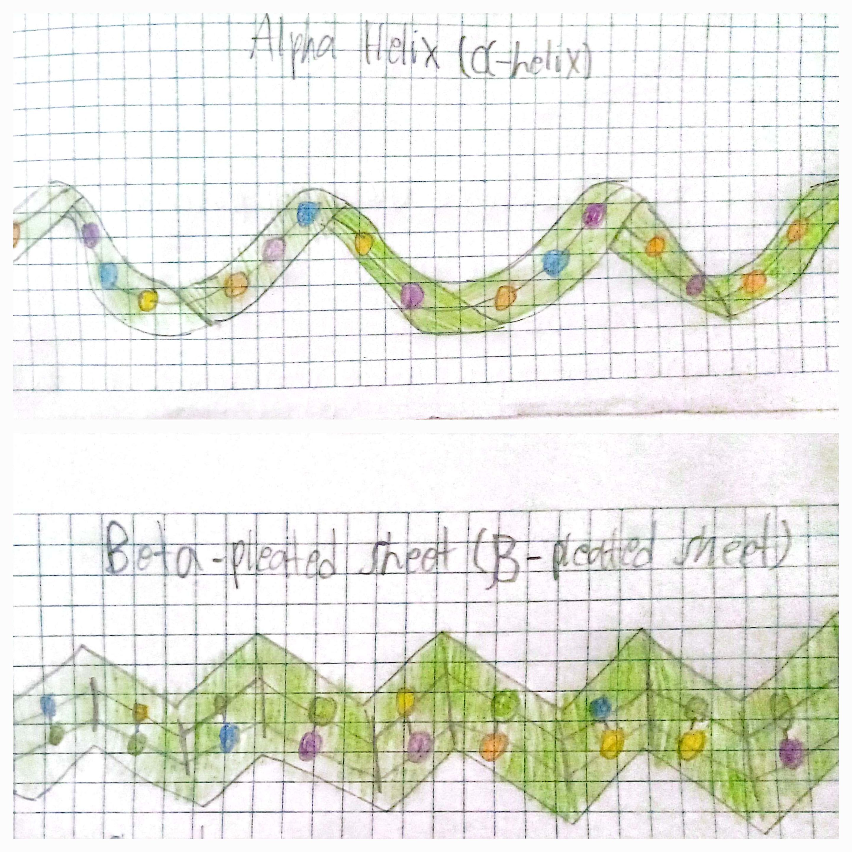 <p>Occurs when the sequence of amino acids is linked by hydrogen bonds. (this is where we see common shapes like alpha helix and beta-pleated sheets)</p>