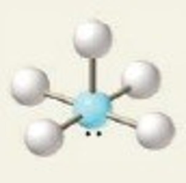 <p>5 Bonding Domains and 1 Lone Pair</p>