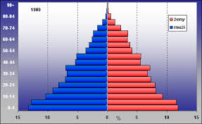 <p>Jaká je tohle věková pyramida?</p>