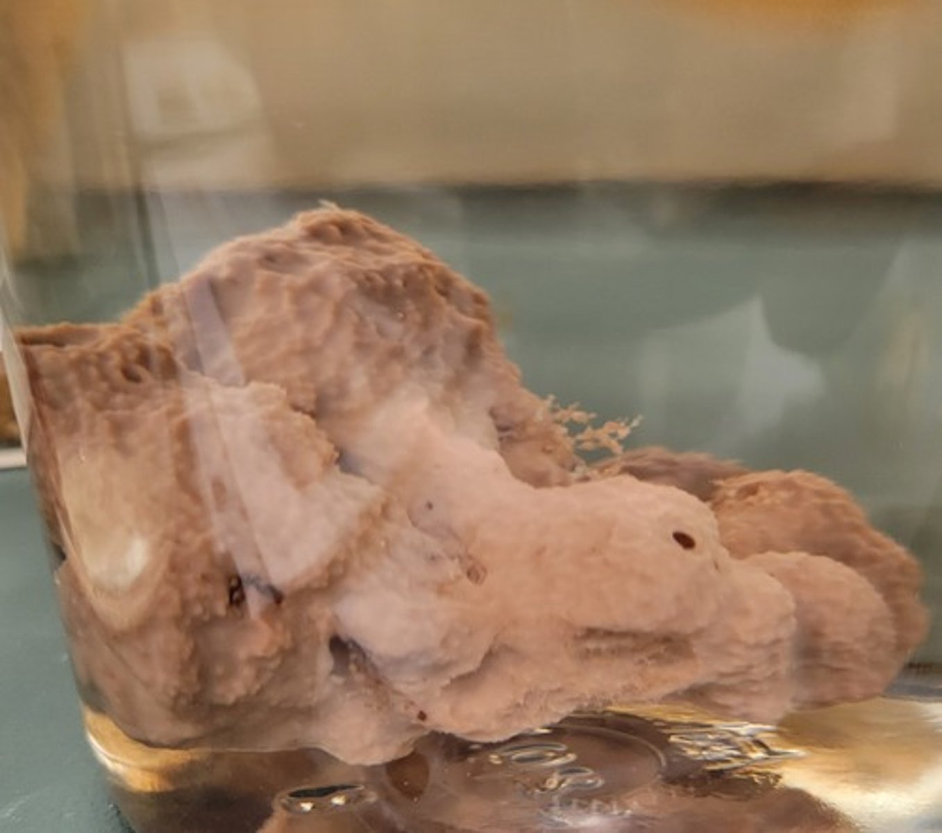 <p>Identify Taxonomy</p>