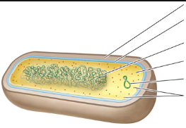 <p>what is labeled?</p>