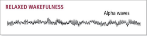 early portion of stage 1 sleep produces alpha waves; the person is very relaxed but still awake; these waves are high frequency low amplitude 
