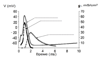 <p>2. Describe the plot below. Fill the missing information.</p>
