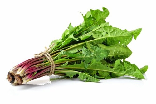 are either white or red-magenta at the bottom. They have narrow, green leaves with a triangular top and cut-out points throughout the leaves.