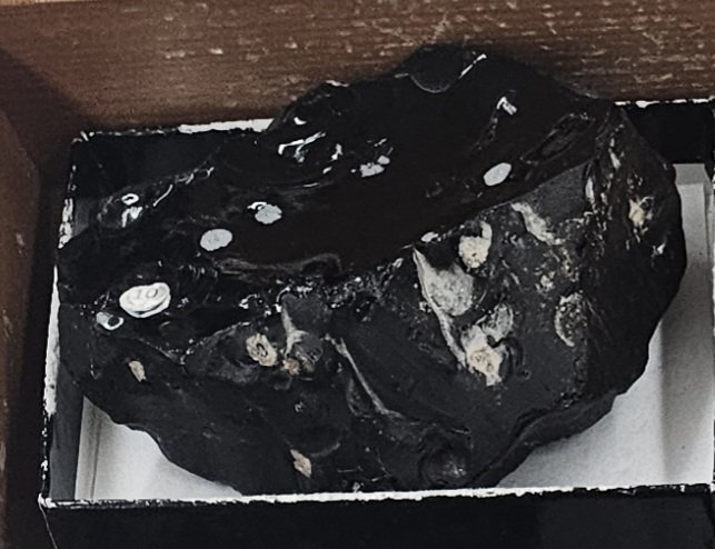 <p><strong>Mode of Cooling: Extrusive</strong></p><p><strong>Texture: Glassy</strong></p><p><strong>Mineral Composition: Felsic</strong></p>