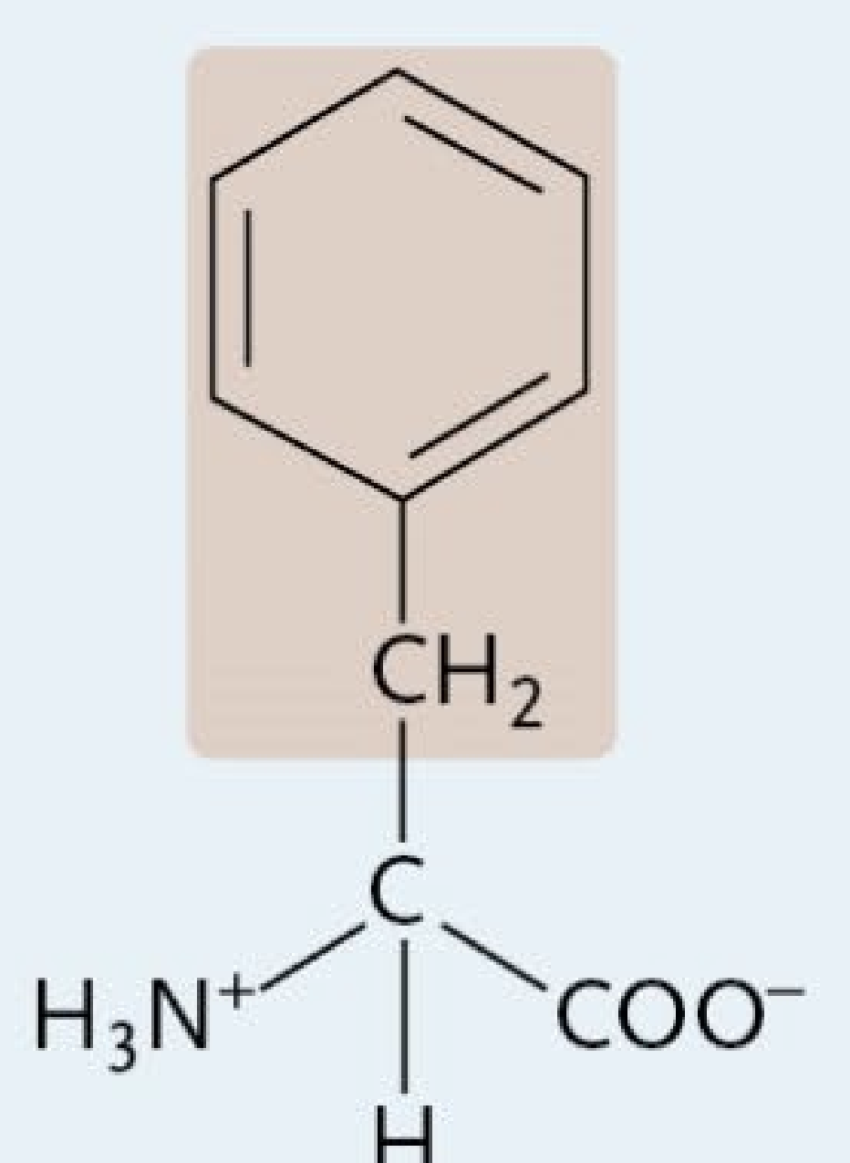 <p>A Nonpolar Amino Acid</p>